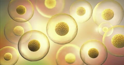 Das passiert, wenn wir sterben – nach 4 bis 5 Minuten