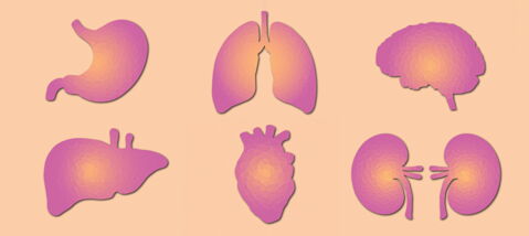 30 Minuten nach dem Tod