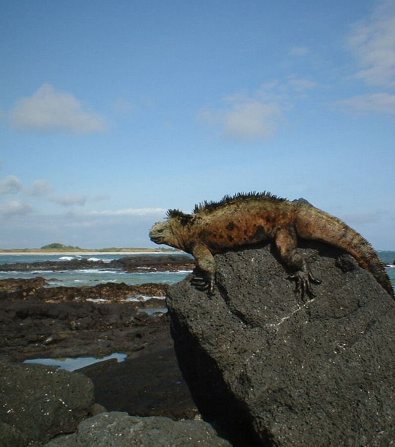 Photos Les 25 merveilles du monde que vous devez voir avant qu'elles