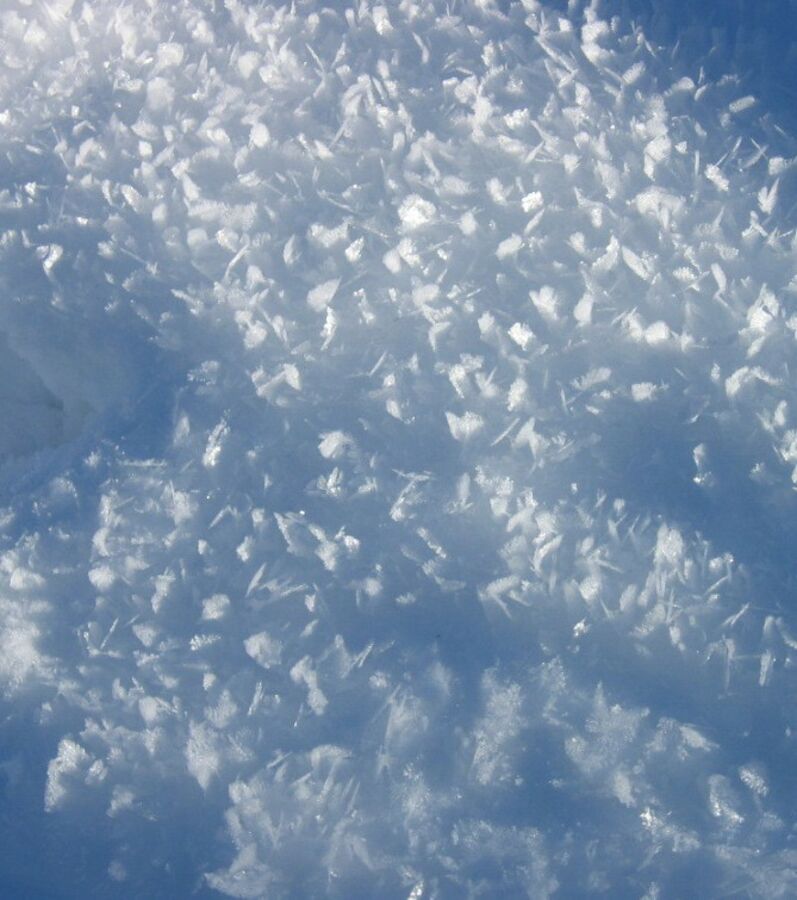 Quand l'hiver et la neige dévoilent leurs merveilles à vos objectifs