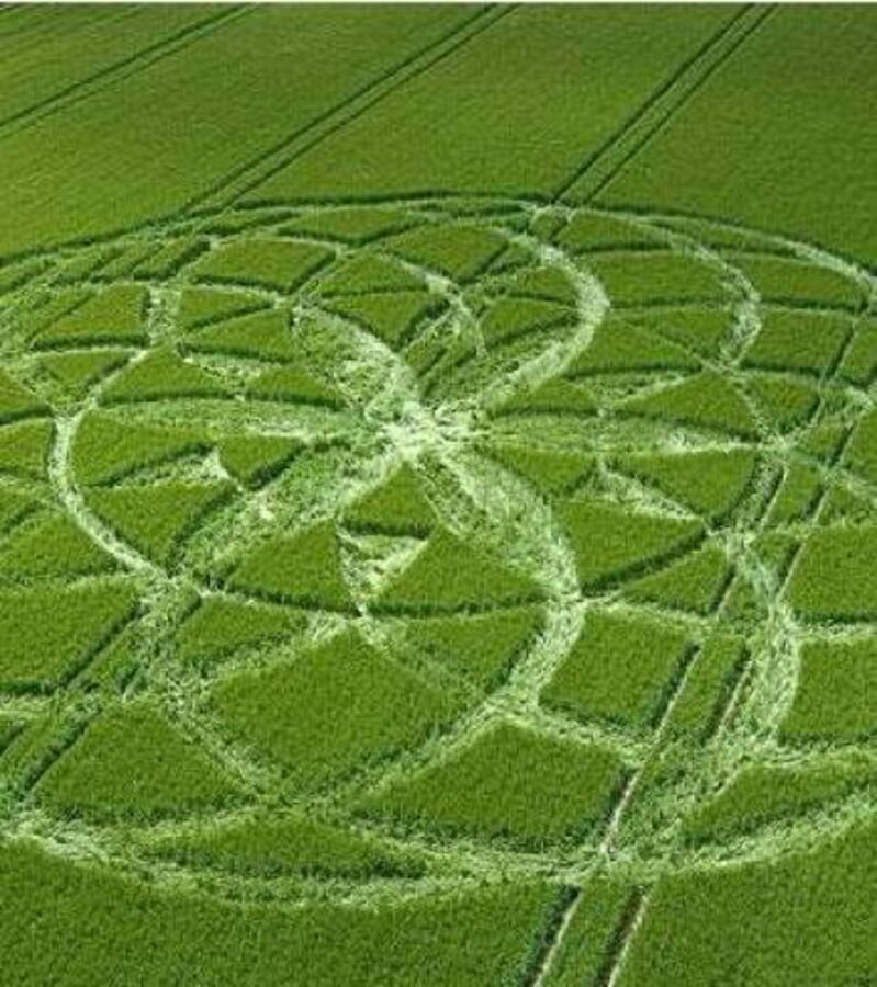 Crop circles découvrez les 25 cercles de culture les plus impressionnants