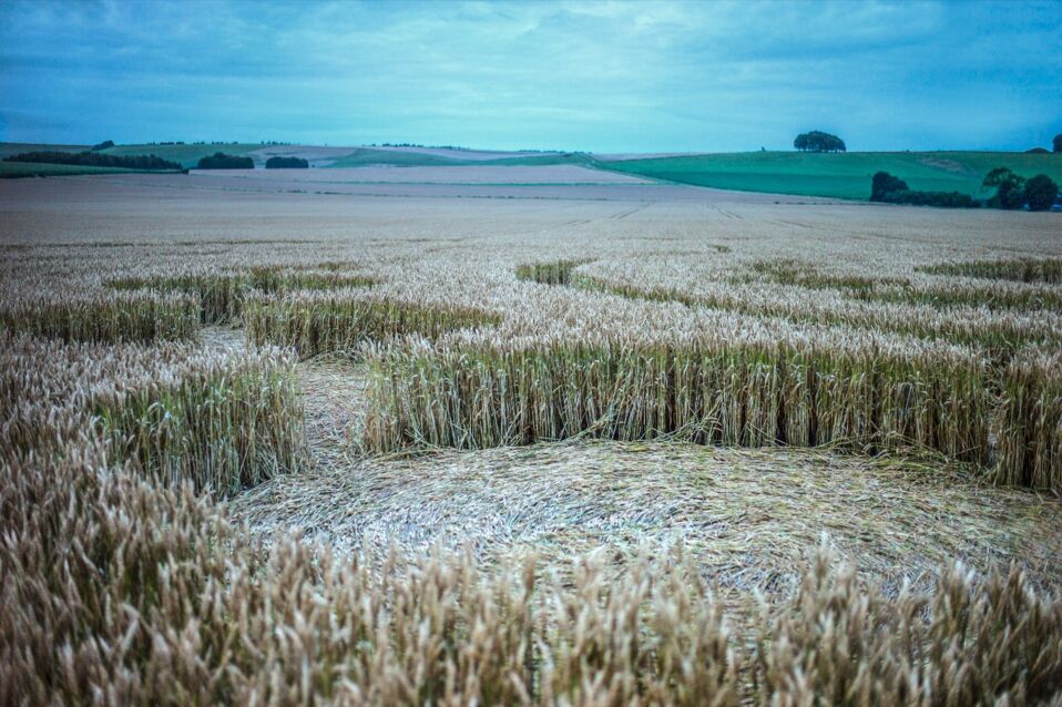 Photos Crop circles découvrez les 25 cercles de culture les plus impressionnants