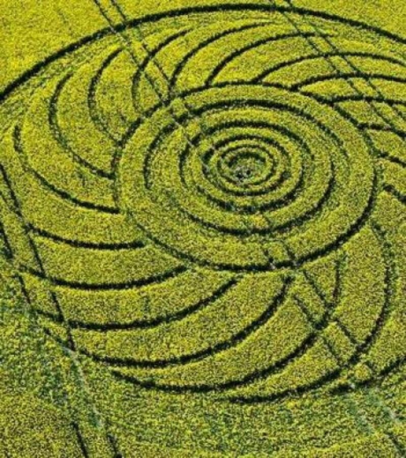 Crop circles découvrez les 25 cercles de culture les plus impressionnants