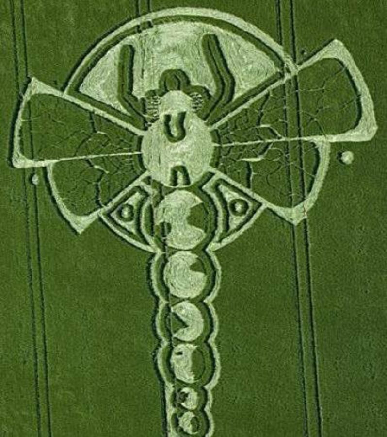 Crop circles découvrez les 25 cercles de culture les plus impressionnants