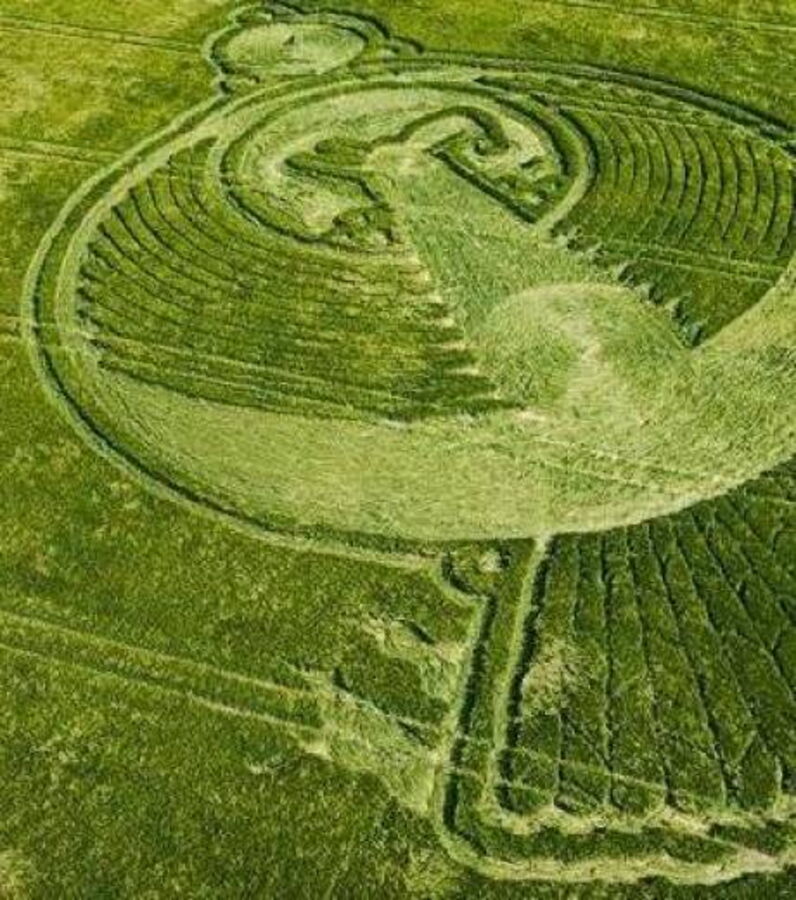 Crop circles découvrez les 25 cercles de culture les plus impressionnants