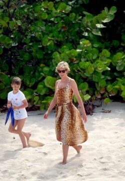 Lady Diana on the beach
