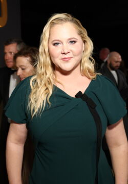 Amy Schumer cut her leg open while surfing