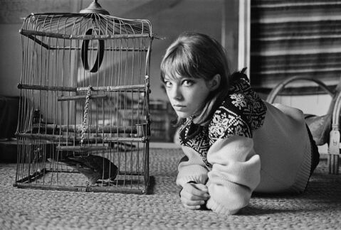 Jane Birkin