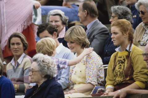 Worked for an art gallery