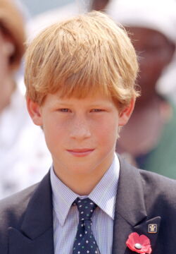 Prince Harry in 1997