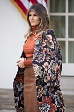 Melania Trump rumoured to have degree in architecture and design