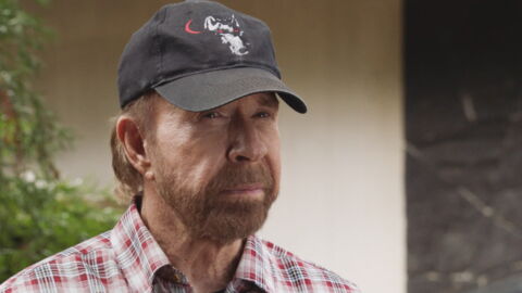 Chuck Norris can kill two stones with one bird.