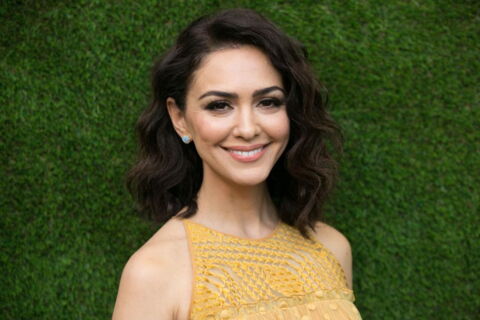 Nanzanin Boniadi in the first Iron Man movie