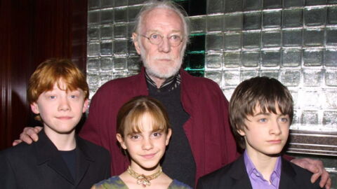 Richard Harris played Albus Dumbledore in the first movie Harry Potter and the Philosopher’s Stone in 2001.