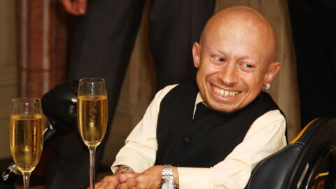 Verne Troyer played the grumpy leprechaun Griphook, who worked at the Bank of Wizards, but subsequently gave up the role.