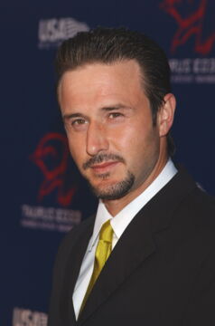 David Arquette's wrestling career almost took him out