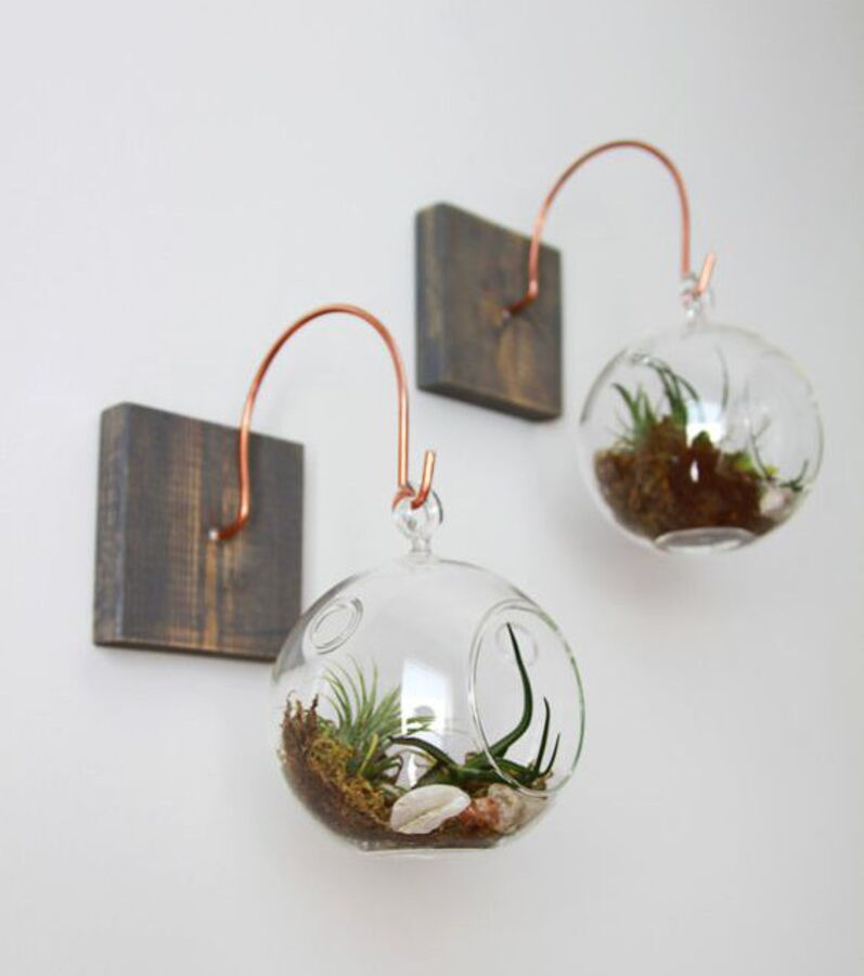 12 terrariums originaux