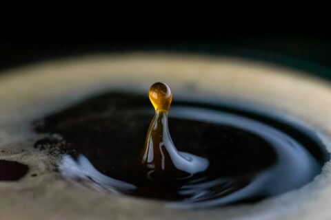 Nur zwei Sorten haben sich durchgesetzt