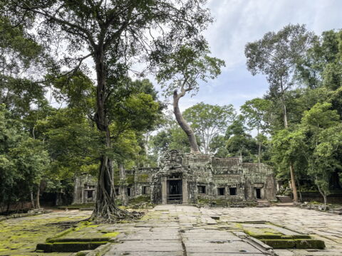 Ta Prohm