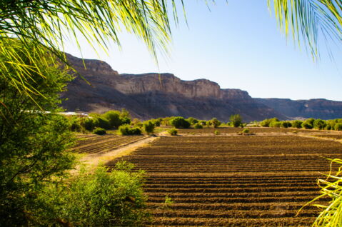 Anna zögerte nicht und ging nach Namibia