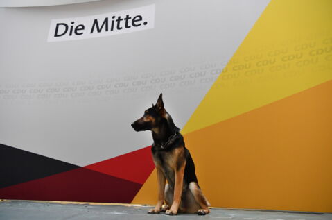 Angela Merkel hat Angst vor Hunden, seitdem sie als Kind beim Fahrradfahren angegriffen wurde