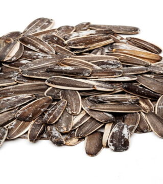 3. Graines de tournesol