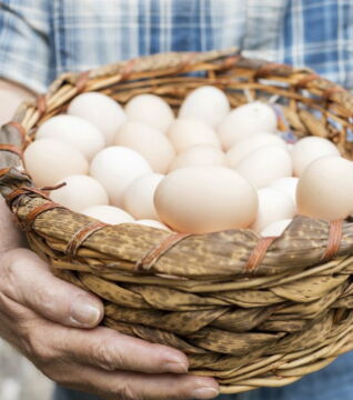 6. Les oeufs (durs ou brouillés)