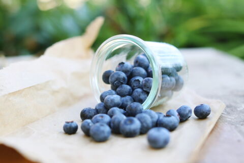 Smoothie full blueberry (33 g protéines)