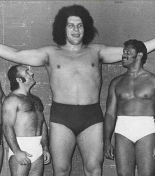 Andre Le Géant - Catcheur Professionnel