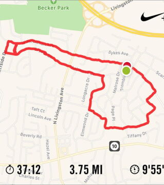 "C’est assez difficile, en fait. Il m’arrive de rater un virage, de ruiner le dessin et de devoir tout recommencer". Claire dans un entretien pour Vice.