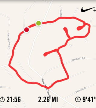 Grâce à ses Dick Runs, Claire a désormais plus de 46K abonnés sur Instagram. Un chiffre qui ne fait qu'augmenter.