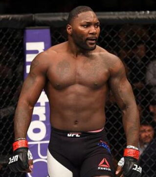 Anthony Johnson : Ancien combattant de l'UFC
