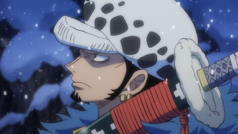 Trafalgar D. Water Law