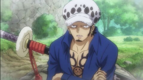 Trafalgar D. Water Law