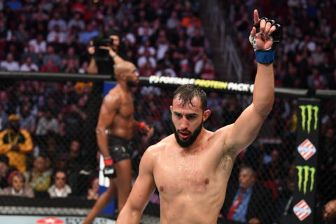 Dominick Reyes - poids mi-lourd à l'UFC