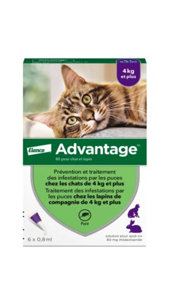 🥇 Les meilleurs vermifuges pour chat 2024 - test & comparatif