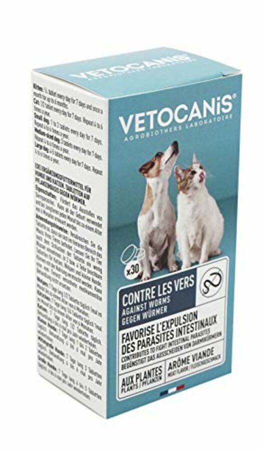 Top 8 des répulsifs naturels pour chats – Vetocanis