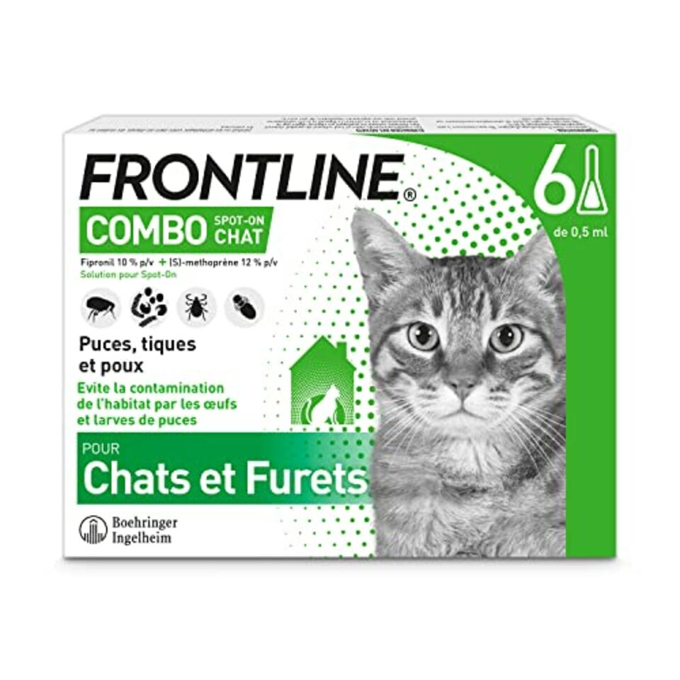 Comment choisir un vermifuge pour chat ?