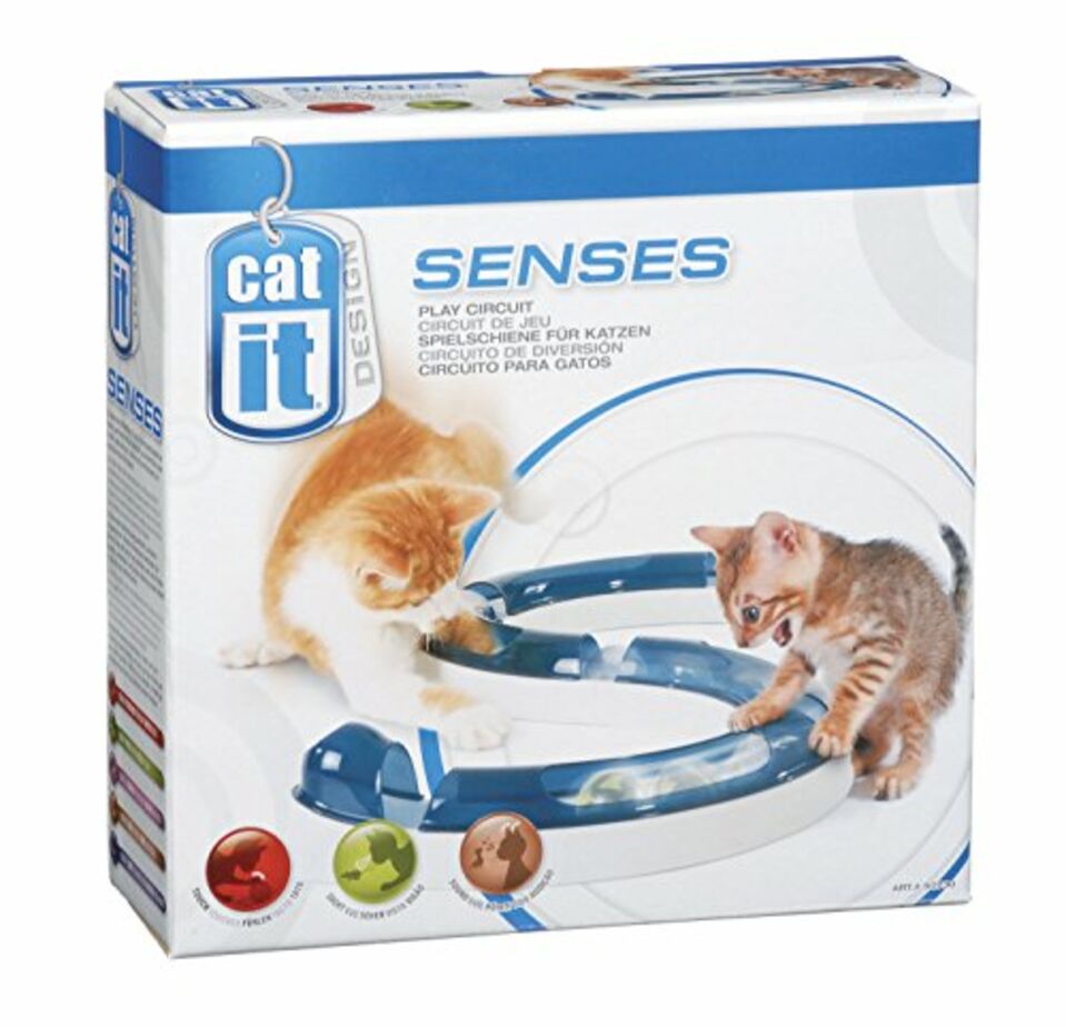 Un gadget génial pour amener vos chats en voiture