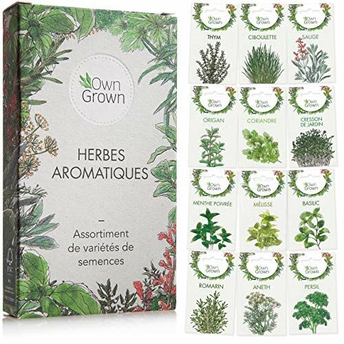 Kit prêt à pousser d'herbes aromatiques - Idées cadeaux Homme